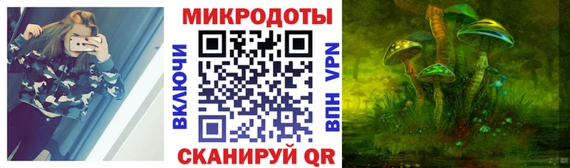 Галлюциногенные грибы GOLDEN TEACHER  где найти наркотики  Новая Усмань 